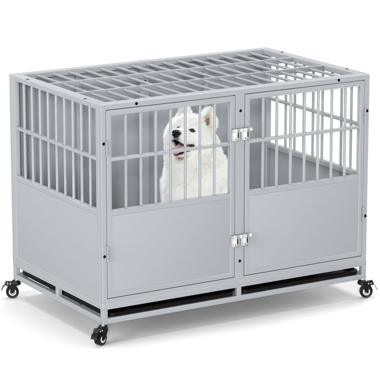 Chew proof 2024 dog crate bed